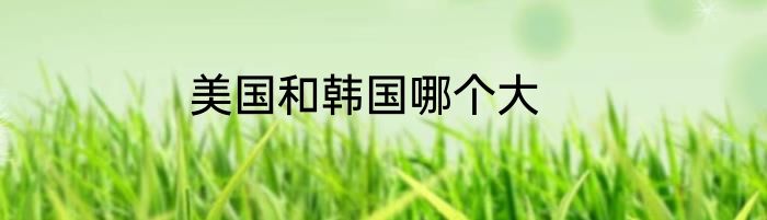 美国和韩国哪个大