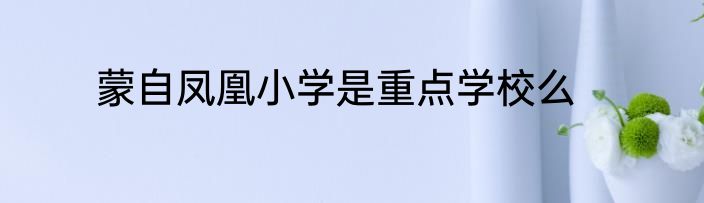 蒙自凤凰小学是重点学校么