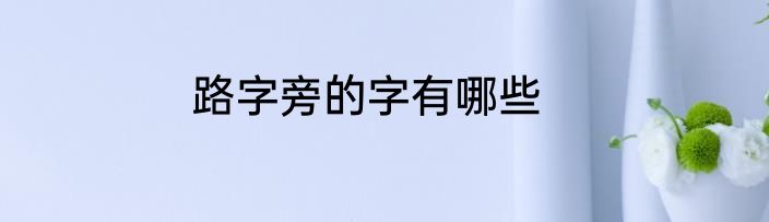 路字旁的字有哪些