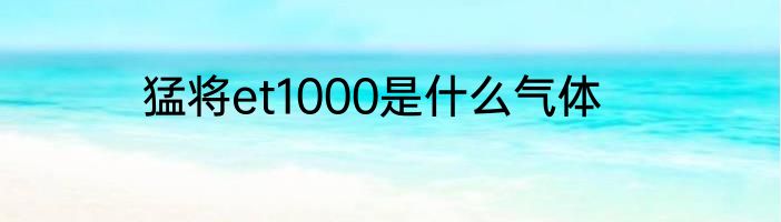 猛将et1000是什么气体