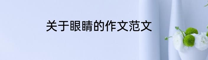 关于眼睛的作文范文