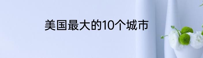 美国最大的10个城市