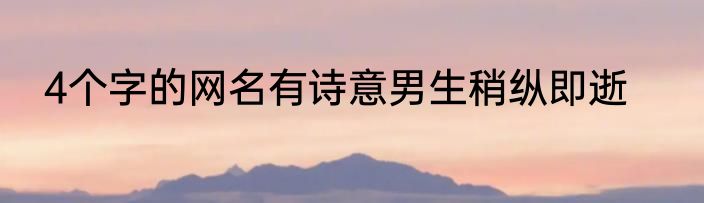 4个字的网名有诗意男生稍纵即逝