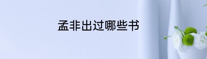 孟非出过哪些书