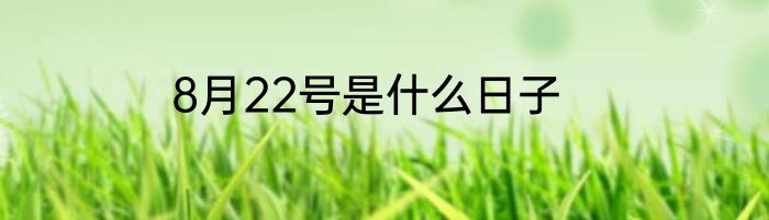 8月22号是什么日子