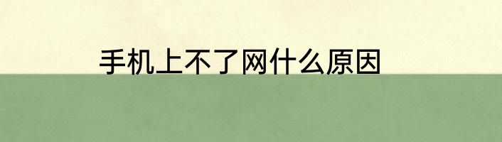 手机上不了网什么原因