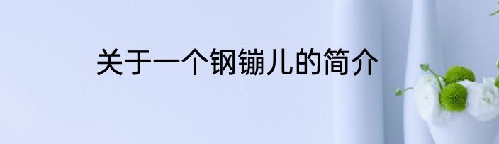 关于一个钢镚儿的简介