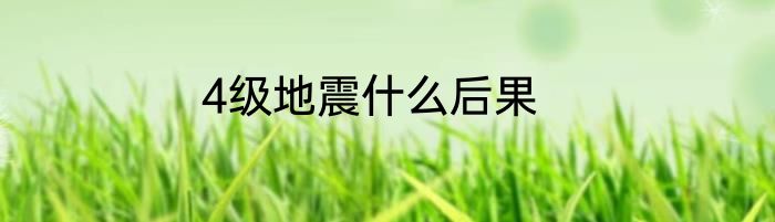 4级地震什么后果