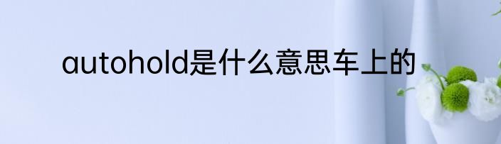 autohold是什么意思车上的