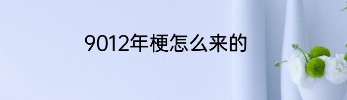 9012年梗怎么来的