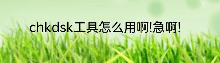 chkdsk工具怎么用啊!急啊!