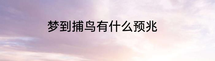 梦到捕鸟有什么预兆