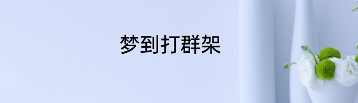 梦到打群架