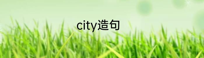 city造句
