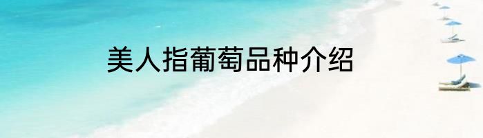 美人指葡萄品种介绍