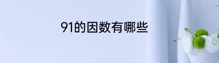 91的因数有哪些