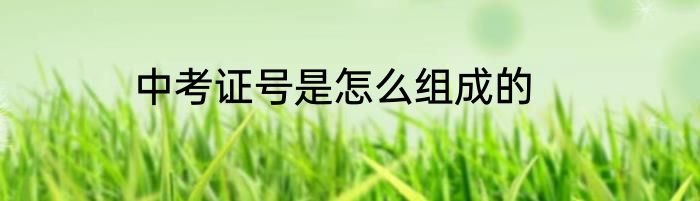 中考证号是怎么组成的