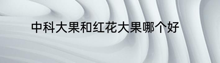 中科大果和红花大果哪个好