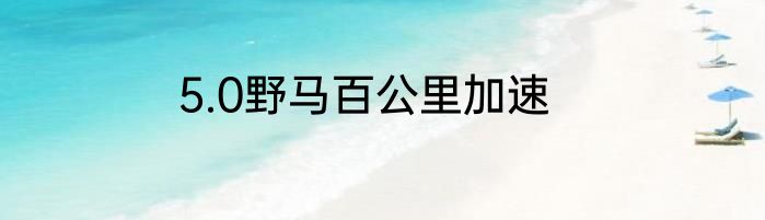 5.0野马百公里加速