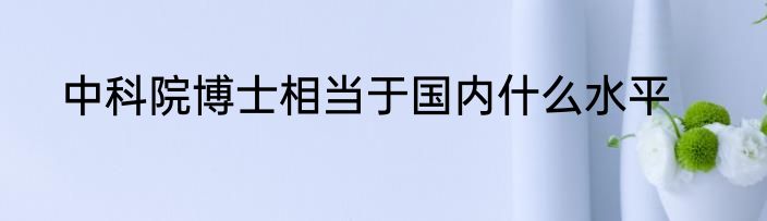中科院博士相当于国内什么水平