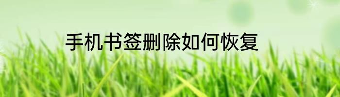 手机书签删除如何恢复