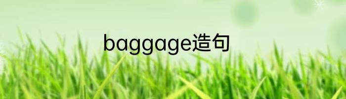 baggage造句