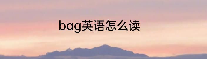 bag英语怎么读
