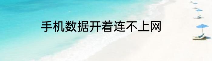 手机数据开着连不上网