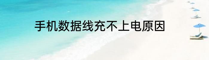 手机数据线充不上电原因