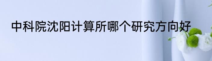 中科院沈阳计算所哪个研究方向好