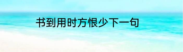 书到用时方恨少下一句