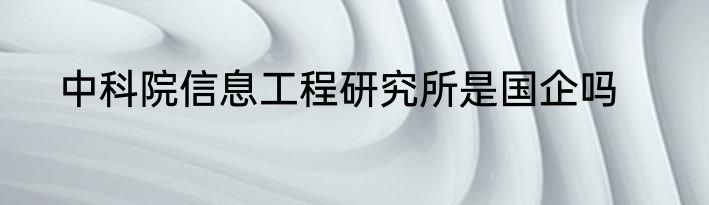 中科院信息工程研究所是国企吗