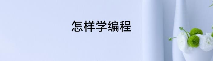 怎样学编程