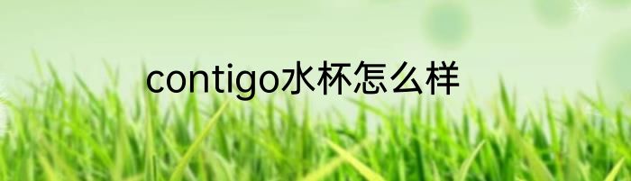 contigo水杯怎么样