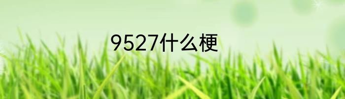 9527什么梗