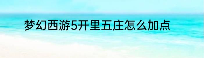 梦幻西游5开里五庄怎么加点