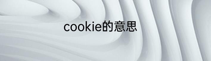 cookie的意思