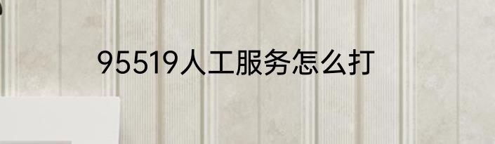 95519人工服务怎么打