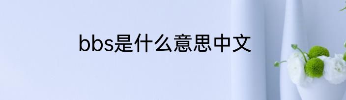 bbs是什么意思中文