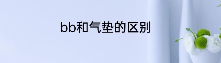 bb和气垫的区别