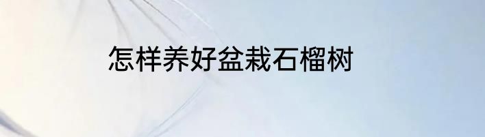 怎样养好盆栽石榴树