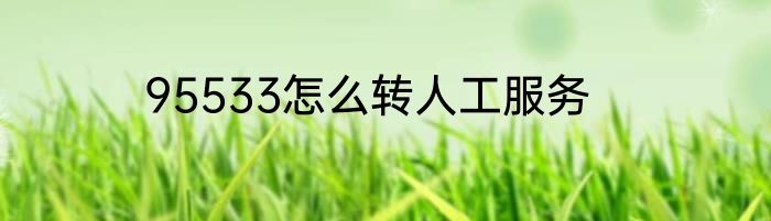 95533怎么转人工服务