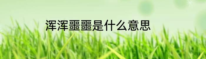 浑浑噩噩是什么意思