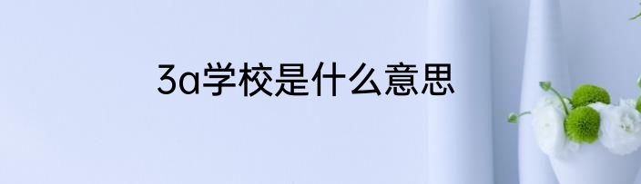 3a学校是什么意思