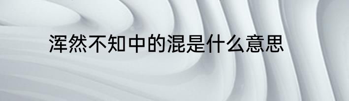 浑然不知中的混是什么意思
