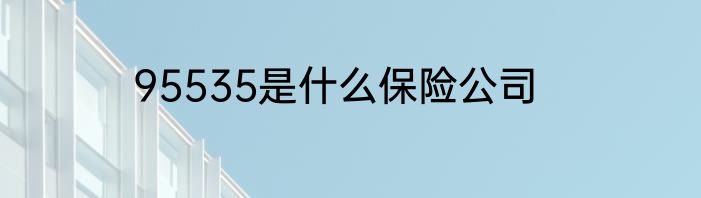 95535是什么保险公司