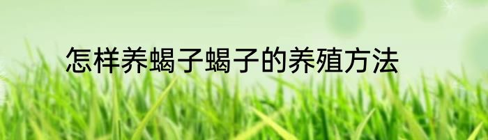 怎样养蝎子蝎子的养殖方法