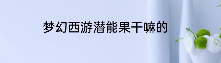 梦幻西游潜能果干嘛的