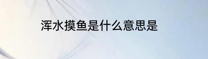 浑水摸鱼是什么意思是