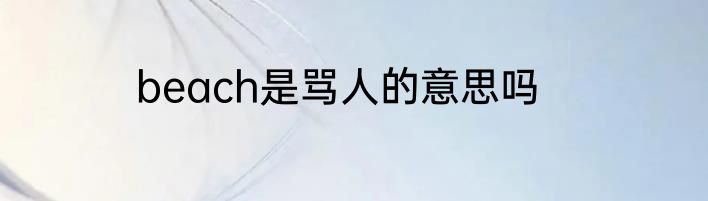 beach是骂人的意思吗